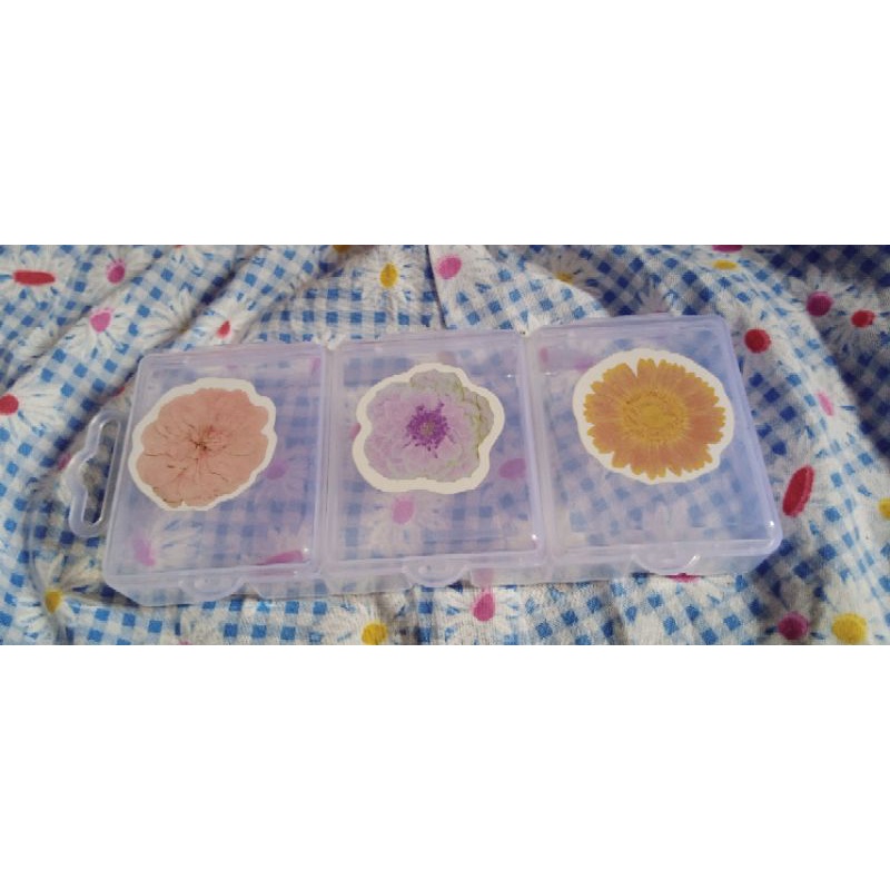 

Aesthetic Sticker Storage