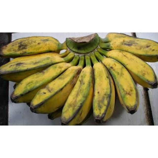 

Pisang kepok 1 sisir berat 1kg