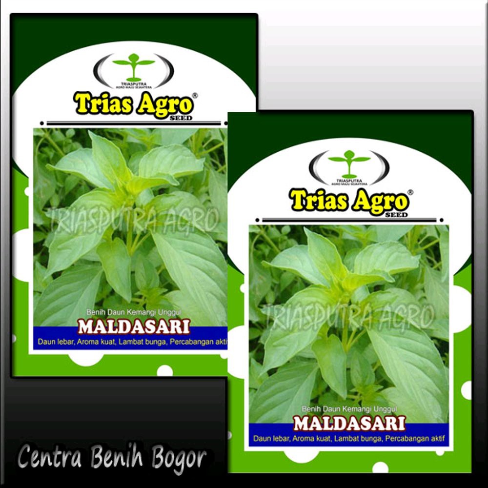 Benih kemangi unggul MALDASARI - Bibit kemangi Limited