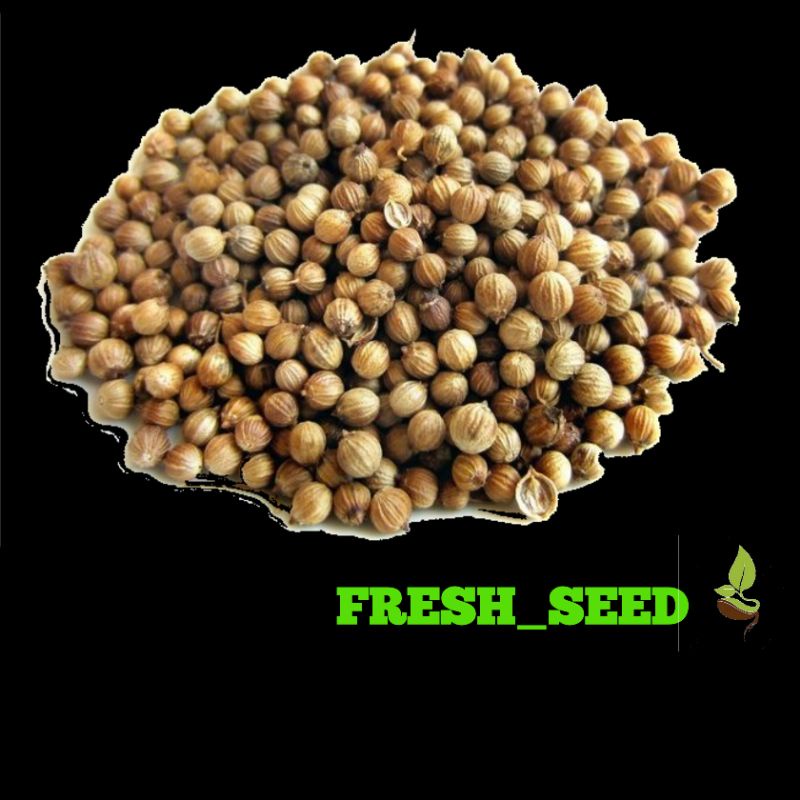 

bumbu masak ketumbar 100gr