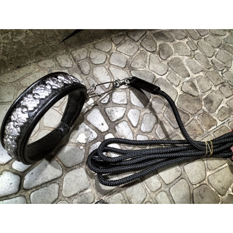 tali anjing, kalung anjing,kala anjing,kalung dogi