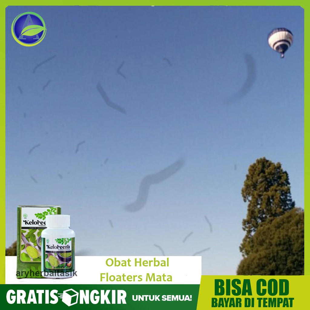Obat Herbal Floaters Mata, Pandangan Berbayang, Gangguan Penglihatan Keloreena 50 Kapsul - Bisa COD