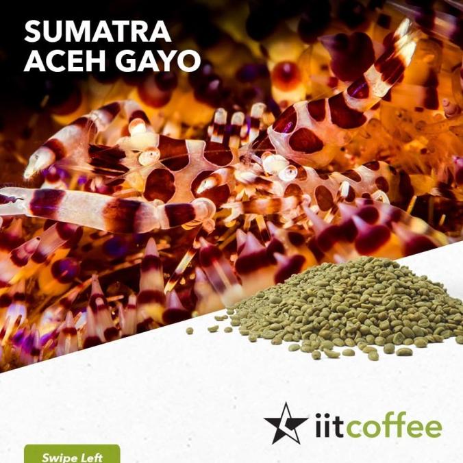 

Arabica Green Beans - Sumatra Aceh Gayo Semi Washed 1Kg -Diskon Besar