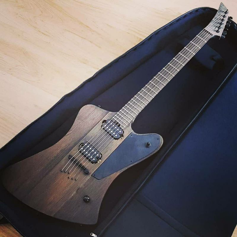 Havoc Guitar Warbird (by Radix)