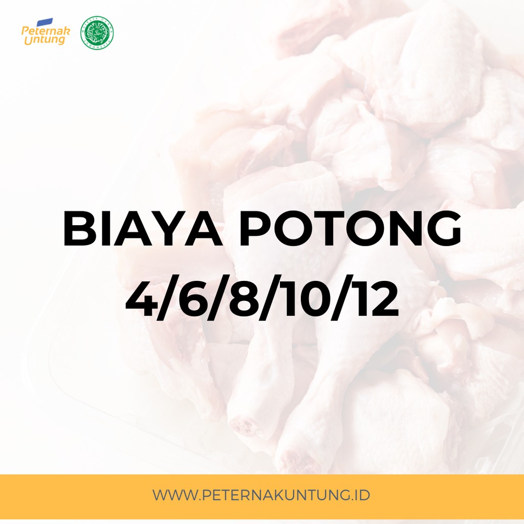

Biaya Potong Per Ekor