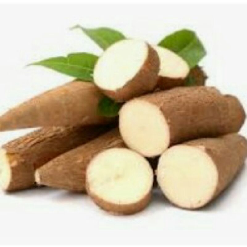 singkong muda bahan kolak