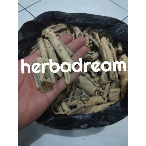 

100 GRAM PULOSARI PALASANE PULASARI PALASARI CALAPRI ALYXIA OLIVIFORMIS PULASANE KERING SIMPLISIA DRIED PREMIUM ORGANIK