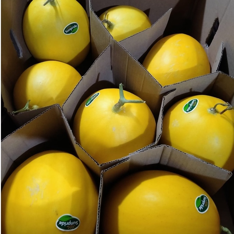 Melon Golden Fresh Buah Segar Sunpride