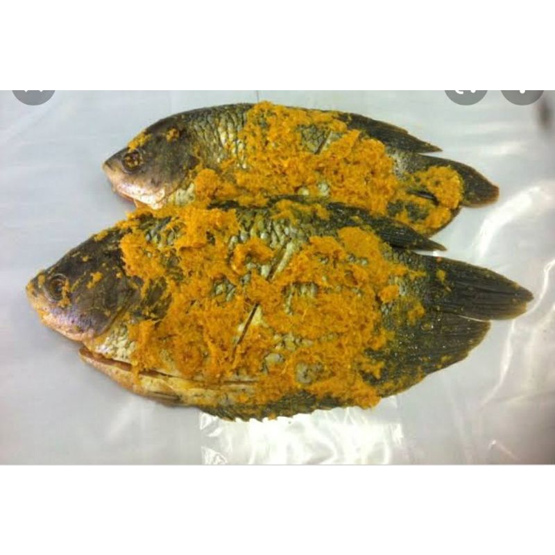 

ikan gurame bumbu kuning goreng dan bakar/1kg