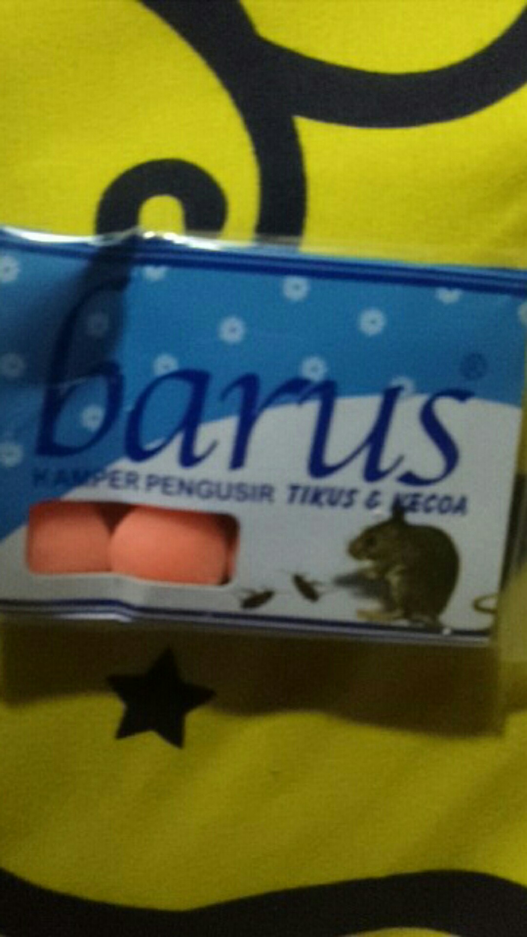 Naim_surya_asemka_kamper Tikus Dan Kecoa