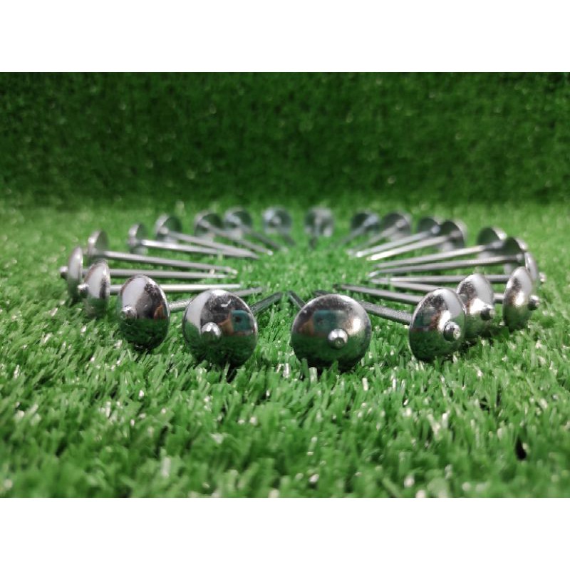 Paku Payung 2" (5cm) - per ½ kg