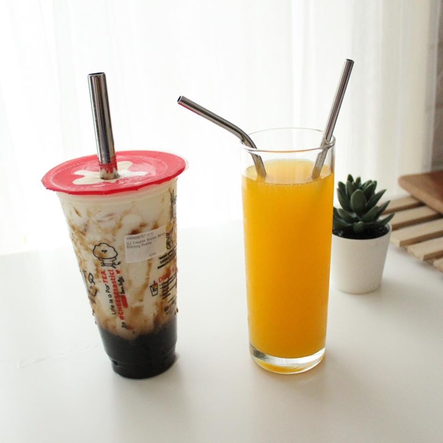 READY STOCK STAINLESS STEEL STRAW