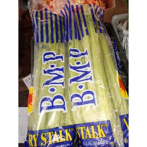 

seledri stik/1kg