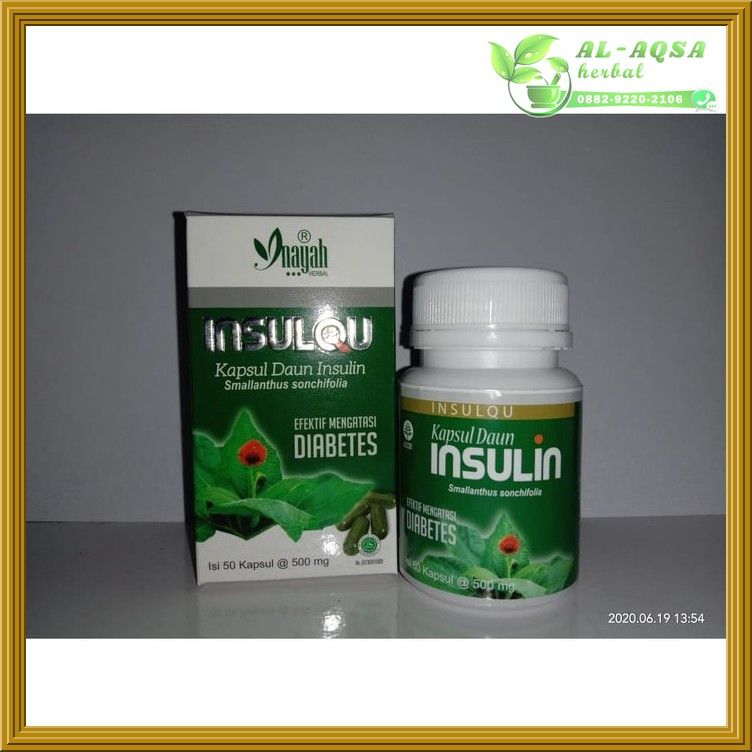 

Insulqu 60 Kapsul Insulin Inayah