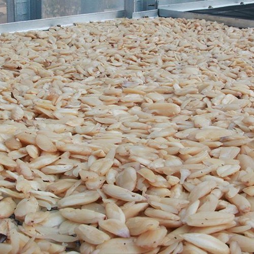 

kacang kenari mentah pasar online makassar