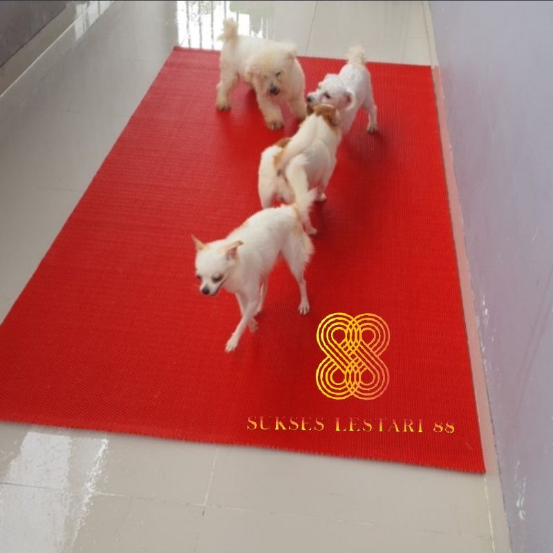 Keset Karpet PVC Multiguna Alas Kandang 20 x 60 Jaring