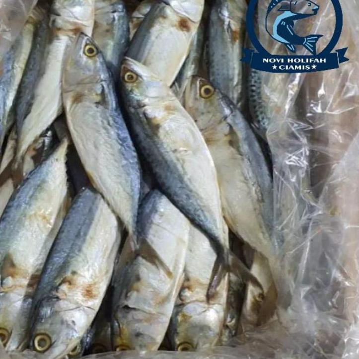 

CSB6n1M--ikan peda putih besar.1 kg harga termurah