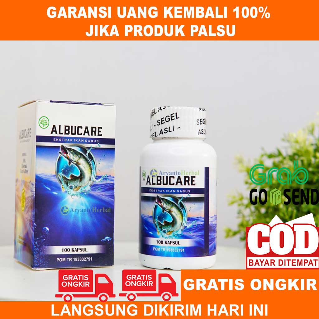 

Albucare Ekstrak Ikan Gabus | Halal Original