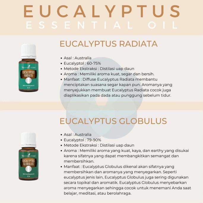 Best Seller Eucalyptus Globulus 15ml Essential Oil Young Living Promo Termurah Shopee Indonesia