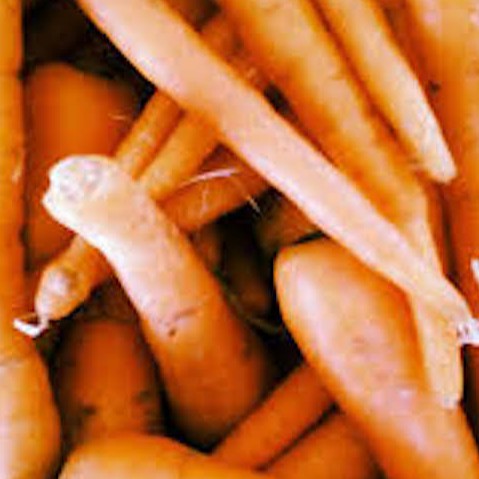 Wortel Organik / Organic Carrot 500g