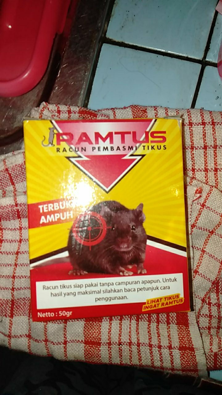 Ramtus Racun Tikus Got Curut Paling Ampuh Pembasmi Tikus Dirumah Racun Tikus Di Mesin Mobil 2 Pack