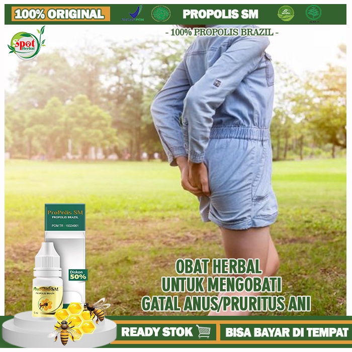 Obat Anus Gatal/Pruritus Ani, Obat Tradisional Dubur Gatal, Obat Penghilang Gatal di Anus, Obat Oles