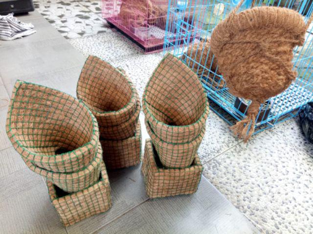 Pot Gantung Pot Serabut Kelapa Sabut Kelapa Pot Anggrek E