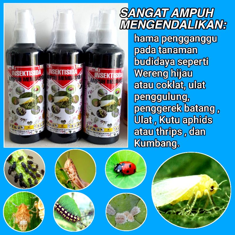 Insektisida 250ml siap pakai untuk Tanaman Hias obat pembasmi kutu kebul ulat belalang wereng kepik