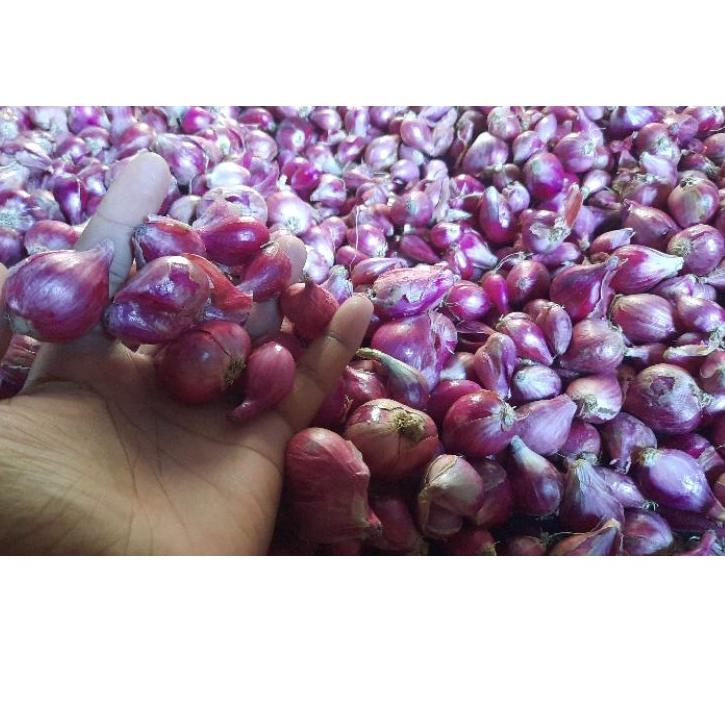 

BAWANG MERAH BREBES 1KG #TER#BREBES#SUPER 8-8 !!