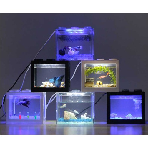 480 Koleksi Contoh Lampu Aquarium Gratis