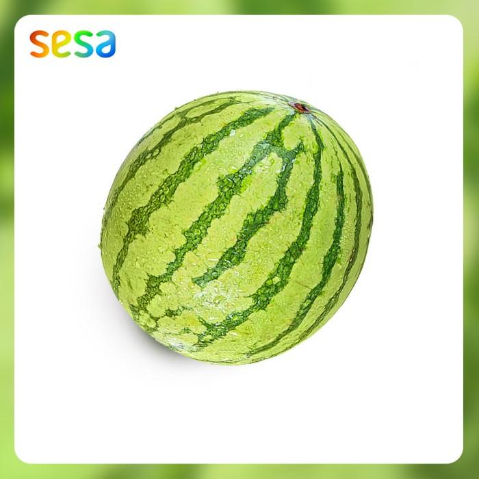 

Buah Semangka Kuning /pcs Best Seller