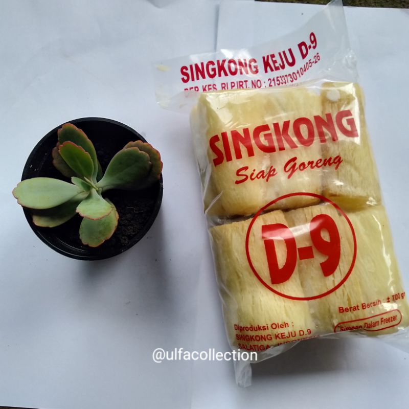 

singkong keju D9 salatiga