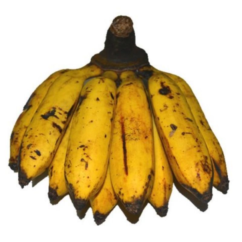 Grosir per 1 Sisir Pisang Uli