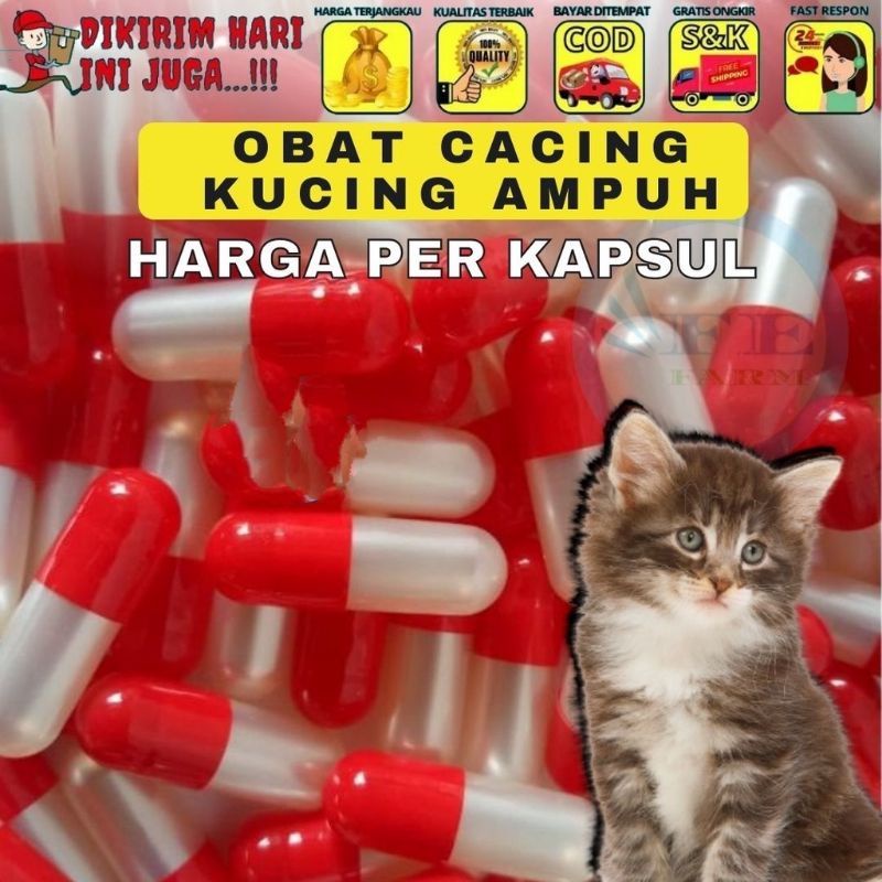 Obat cacing penggemuk badan kucing per 1 kapsul