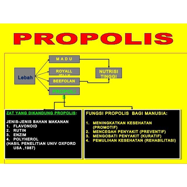 

tradisional-minuman- imogen propolis original -minuman-tradisional.