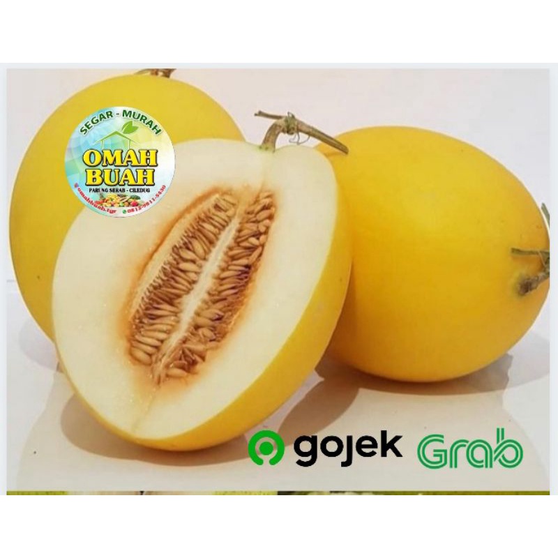 Melon Golden Manis 1-1,5kg