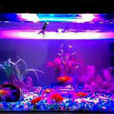 YAMANO Magic Sand Cleaner + Cleaner Aquarium + Pembersih Akuarium