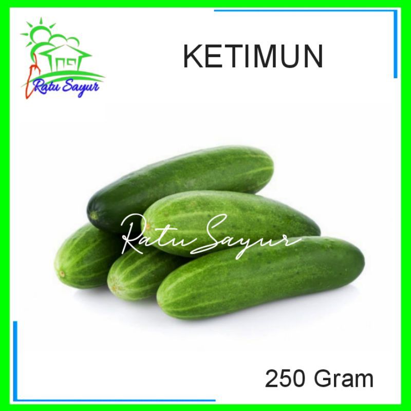 

KETIMUN/ratusayur.id