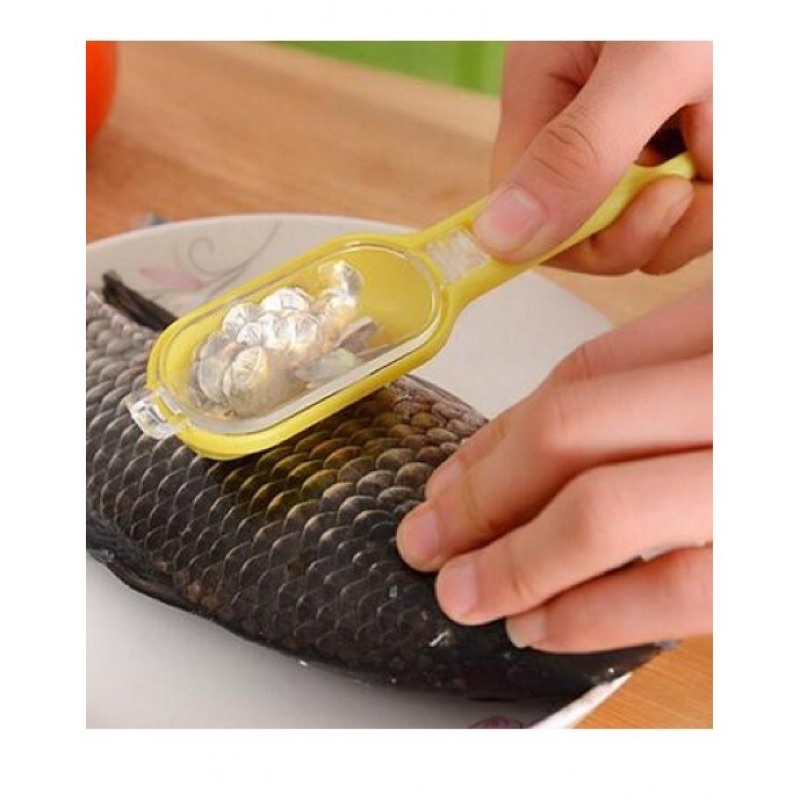 Alat Pembersih Sisik Ikan/ Pengupas Sisik Ikan/ Scraper Fish/ Fish Peeler