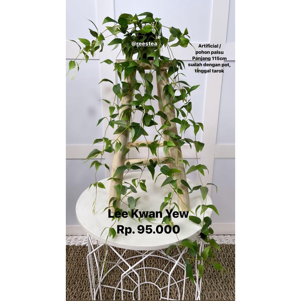 Artificial Pohon palsu Lee  Kwan Yew juntai / Pohon hias palsu / Artificial plant