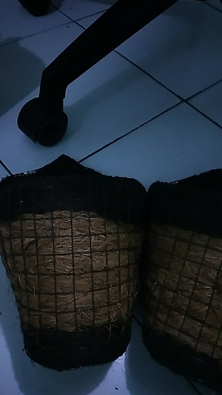 Pot Gantung Injuk Penyubur Anggrek Ready