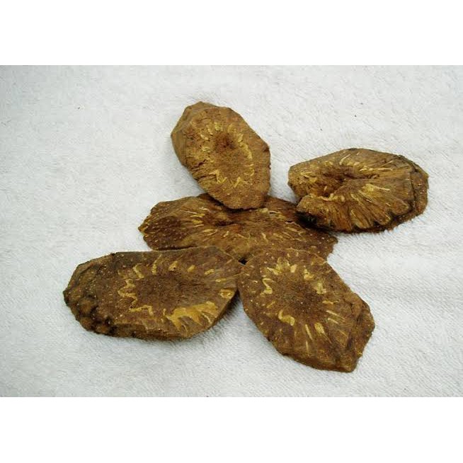 

10 G 50 GR 100 GRAM 贯众 GUAN ZHONG CRYTOMII RHIZOMA