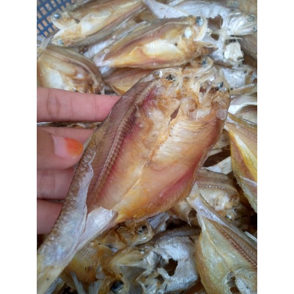 

IKAN BILIS KERING TAWAR / IKAN BILIS 500Gram