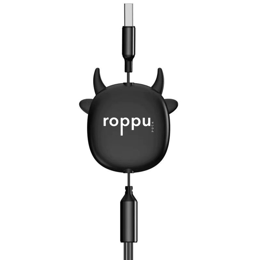 Roppu Kabel Data Charger Micro Usb Type c Iphone