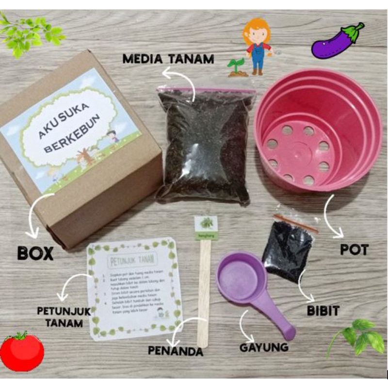 Paket Berkebun Anak, Paket Menanam, DIY Grow Kit