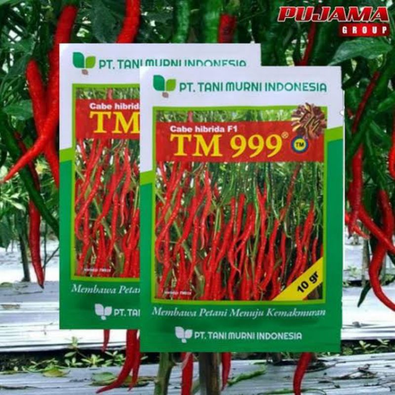 Benih CABE TM 999-10 GRAM-TANI MURNI