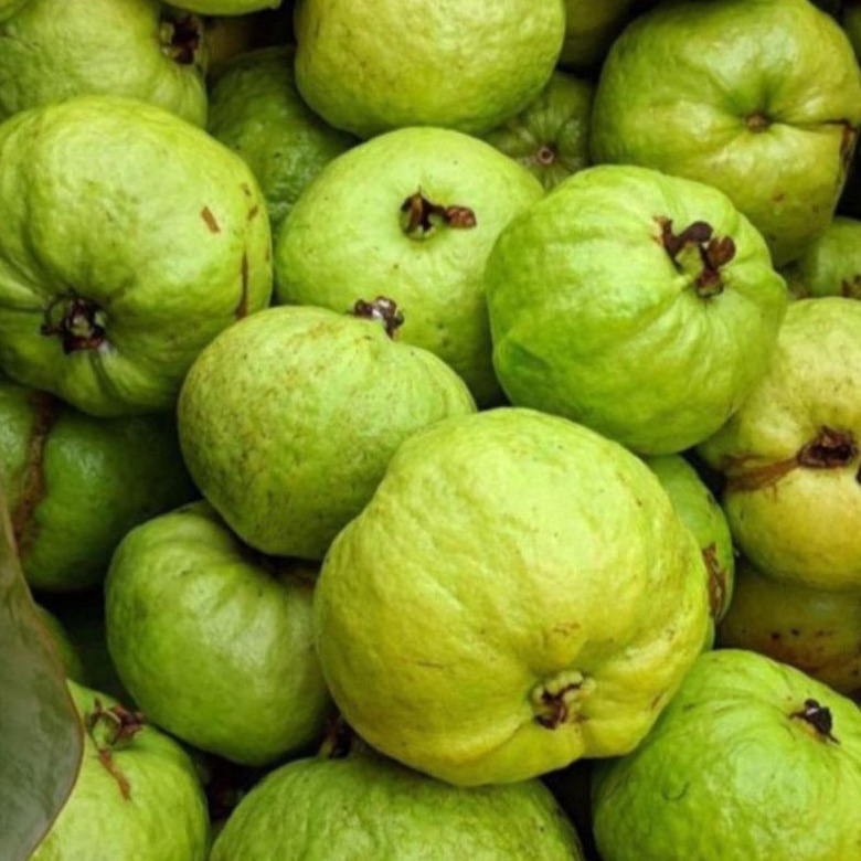 

Jambu Kristal Segar 1Kg