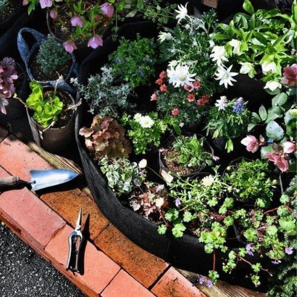 Container Garden Bag