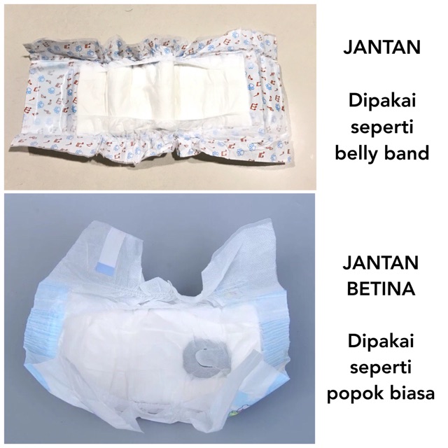 POPOK ANJING PAMPERS ANJING DOG DISPOSABLE DIAPER PET DIAPER POPOK KUCING POPOK MONYET POPOK HEWAN