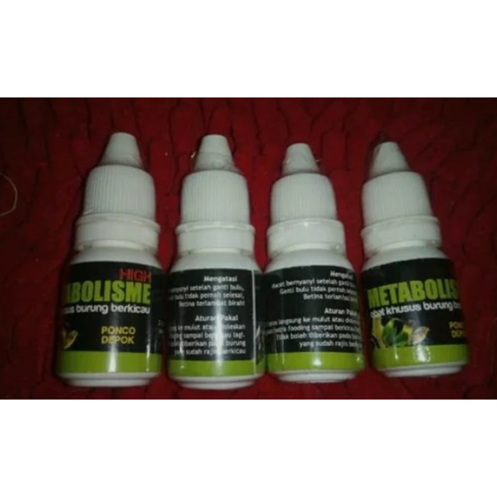 HIGH METABOLISME - KHUSUS BURUNG KICAU